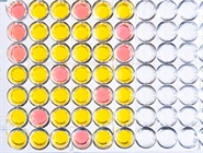 Immunoassay Design Challenges and Solutions