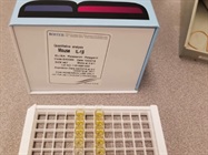 Easy-to-Use Cytokine Quantification