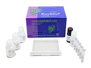 $99 ELISA Kit for New Customers