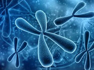 Genomics Is Driving New Opportunities in Genetic Disease Research