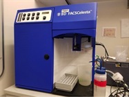 Good Cytometer for a Good Price