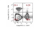 FITC Anti-Mouse CD19 Antibody from BioLegend
