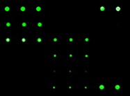 Reasons to Consider Using Protein Arrays