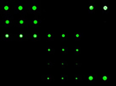  Reasons to Consider Using Protein Arrays