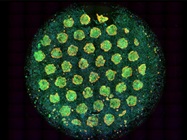 Drug Discovery in 3D
