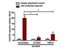 Luciferase Assay Systems (E1483)