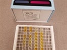 IL-6 Estimation in Cell Culture Supernatant