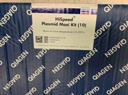 High-Quality and Rapid DNA Extraction Kit