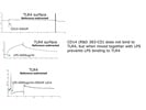 383-CD (CD14) Prevents LPS Binding to TLR4