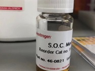 SOC Medium to Activate Competent Cells after Heat Shock