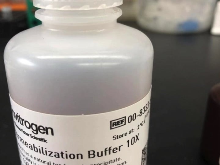 pocopocopocorinページ High performance basic medium for porcine oocyte maturation