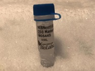 Great PCR Master Mix for Next-Generation Sequencing Sample Prep