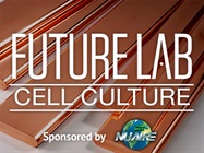 Care and Use of Copper Surfaces in Laboratory Equipment