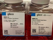 Reliable Media for Cell Culture - Thermo Fisher