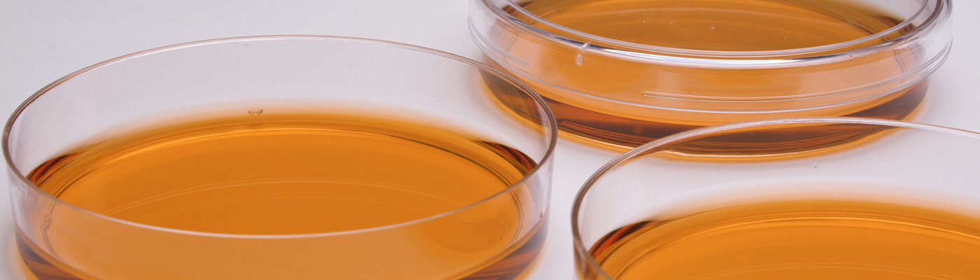  Advances in Primary Cell Culture Driving Biomedical Research