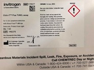 TUNEL Assay Kit for Cell Death Detection