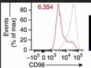 Great Antibody to Detect CD98 Surface Expression