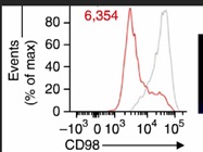 Great Antibody to Detect CD98 Surface Expression
