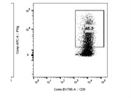 Great Antibody to Detect IFNg Expression through Flow Cytometry