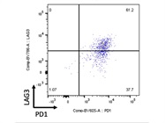 Good Flow Antibody to Detect LAG3 Expression on T Cells