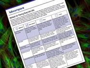 Complimentary Guide: Methods for Peering Deep Into Cells
