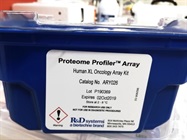 84 Cancer-Related Proteins Detection in One