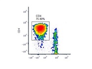 Good Antibody for CD4 in Humans from BD Biosciences