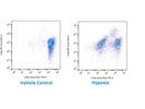 Excellent Antibody for a Quick Snapshot of Dividing Cells