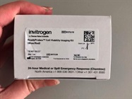 Dead/Alive Staining Kit from Invitrogen