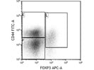 Cheap and Best Antibody for Mouse CD44 Staining - BioLegend