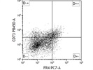 Excellent Antibody for Mouse FR4 Staining - Thermo