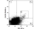 Excellent Antibody for Mouse PD1 Staining - BioLegend