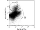 Excellent Antibody for Mouse F4/80 Staining - Thermo