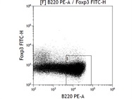 Excellent Antibody for Mouse B220 Staining - Thermo
