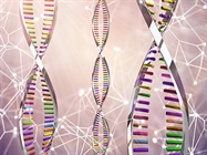 The Best Functional Genomic Screening Method: CRISPR or RNAi?