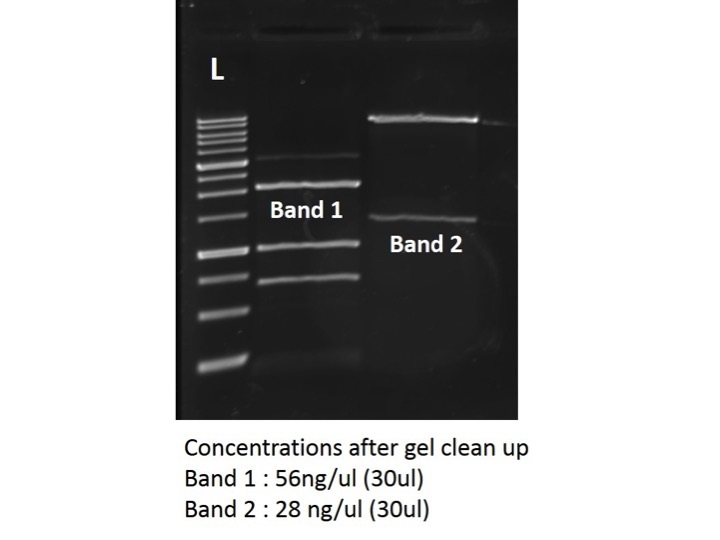 biocompare