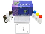 More efficient than ELISA, and no gels required