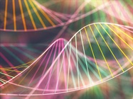 Setting PCR Up for Success