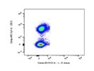 This BioLegend Antibody Stains CD19+ Cells Well