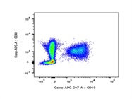 This BioLegend Antibody Identifies CD40+ Cells Very Well