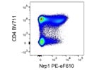 Good Anti-Mouse Nrp-1 PE-eF610 from Thermo Fisher