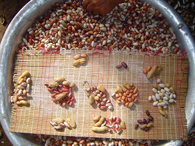 peanuts