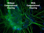 Leica THUNDER Imagers: Live Cell and Cell Tissue