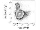 Good Brilliant Violet 711 Anti-Human Ki-67 Antibody from BioLegend