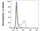 Good Biotin Anti-Human CD336 (NKp44) Antibody from BioLegend