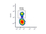 Good Antibody for CD103 in Humans from BioLegend