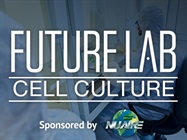 Best Practices for Multiple Users in a Biosafety Cabinet