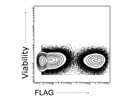 Good Purified Anti-DYKDDDDK Tag Antibody from BioLegend
