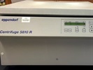 Eppendorf Centrifuge 5810R is Great for Isolating Cells for Culture