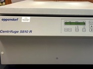 Eppendorf Centrifuge 5810R is Great for Isolating Cells for Culture